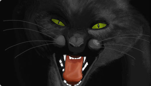 Catsnight